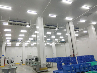 建設2500平米冷庫造價要多少錢？